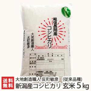 【令和5年度米】無農薬・無化学肥料 新潟産コシヒカリ（従来品種）玄米 5kg/大地創造職人 反町敏彦...