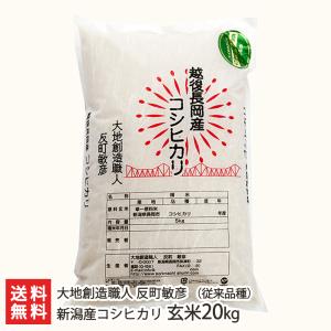 【令和5年度米】無農薬・無化学肥料 新潟産コシヒカリ（従来品種）玄米 20kg（5kg×4）/大地創造職人 反町敏彦/送料無料 父の日 お中元｜niigata-shop