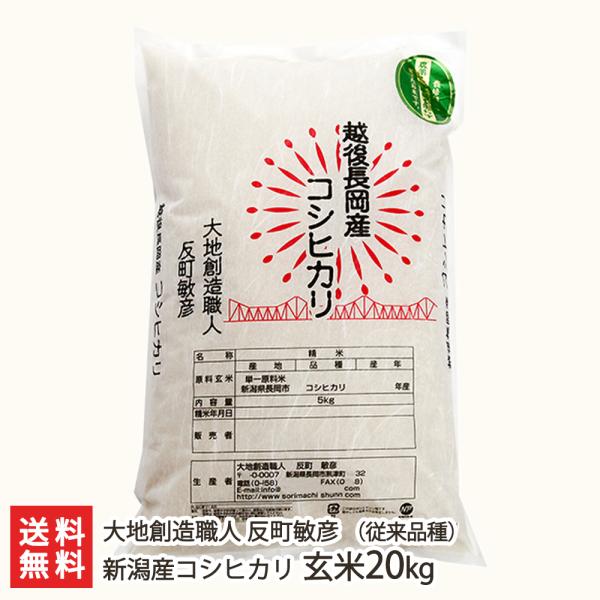 【令和5年度米】無農薬・無化学肥料 新潟産コシヒカリ（従来品種）玄米 20kg（5kg×4）/大地創...