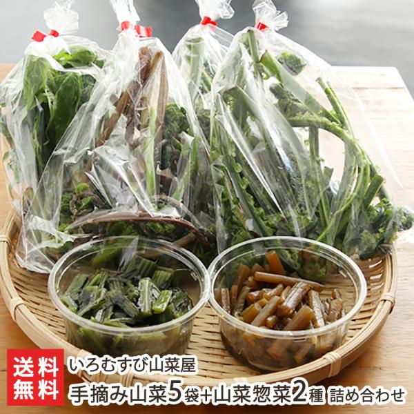 手摘み山菜5袋+山菜惣菜2種 詰め合わせ/いろむすび山菜屋/送料無料
