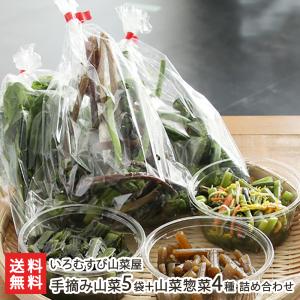 手摘み山菜5袋+山菜惣菜4種 詰め合わせ/いろむすび山菜屋/送料無料｜niigata-shop