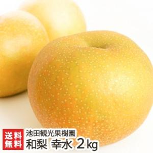 新潟産 日本梨 幸水 2kg（4〜7玉）池田観光果樹園/送料無料｜niigata-shop