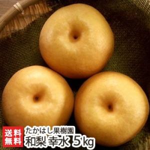 新潟産 日本梨 贈答用 幸水 5kg（9〜18玉）たかはし果樹園/ギフトにも！/のし無料/送料無料｜niigata-shop