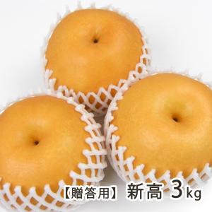 新潟県産 日本梨 愛宕5kg（5〜9個位） 岩福農園/送料無料 : 新潟直送