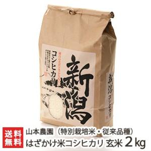 コシヒカリ 米 10kg 無農薬 滋賀県産 特別栽培農産物 お米 10キロ 令和