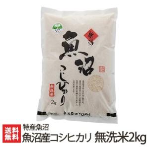 【令和5年度米】魚沼産 コシヒカリ 無洗米 2kg/特産魚沼/送料無料