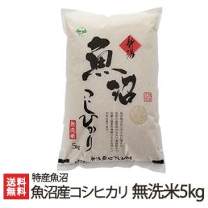 【令和5年度米】魚沼産 コシヒカリ 無洗米 5kg/特産魚沼/送料無料