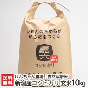 【令和5年度米】新潟県産 自然栽培米（無農薬・無化学肥料）従来品種コシヒカリ 玄米10kg けんちゃん農場/ギフト/のし無料/送料無料 父の日 お中元｜niigata-shop