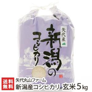 【令和5年度米】新潟 妙高矢代産コシヒカリ 玄米5kg 矢代丸山ファーム/ギフトにも！/のし無料/送料無料