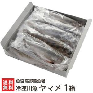 新潟産 冷凍川魚 ヤマメ 1箱（11尾入り）魚沼 高野養魚場/ギフトにも！/のし無料/送料無料