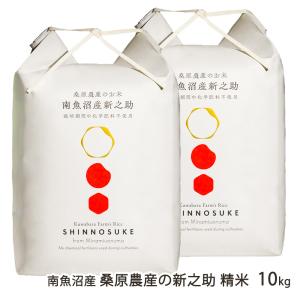 新之助（しんのすけ） 米 10kg (5kg×2袋) 令和7年産 新潟県産 お米 10