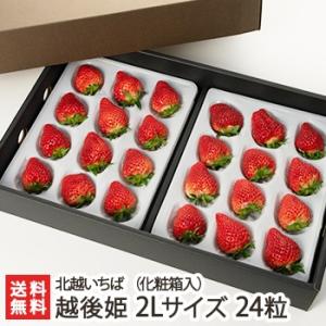 越後姫 2Lサイズ 24粒（化粧箱入り） 北越いちば/新潟産ブランド苺/のし（熨斗）無料/送料無料