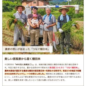 【令和8年度新米】魚沼産 コシヒカリ 「つなぐ...の詳細画像2