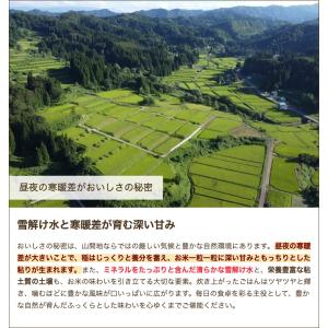 【令和8年度新米】魚沼産 コシヒカリ 「つなぐ...の詳細画像3
