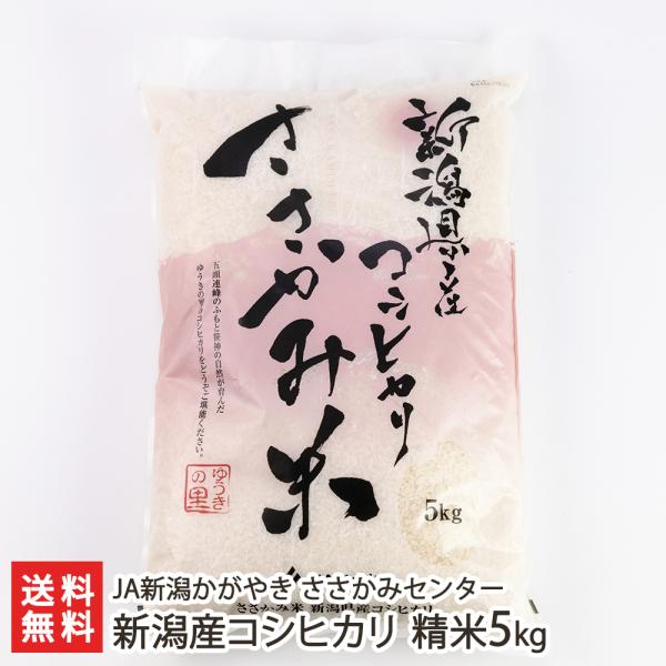 【令和5年度米】新潟 ささかみ産 コシヒカリ 精米5kg JA新潟かがやき ささかみセンター/ギフト...