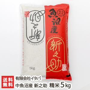 【令和7年度米】新潟産 新之助 精米5kg/有限会社イタバ/のし無料/送料無料