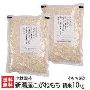 野沢農産 もち米 精米 新鮮密封 令和7年産 長野県産 もちひかり 10kg
