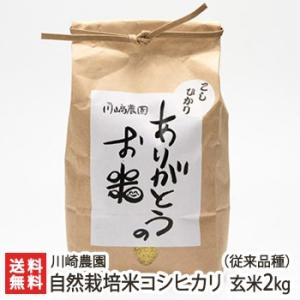 新潟産 新之助 精米8kg(2kg×4) 新之助（しんのすけ） 【令和7年度米】新潟産 無洗米2kg/谷川ファーム