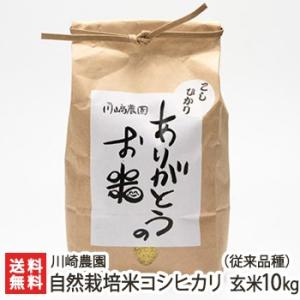 コシヒカリ 【令和7年度米】佐渡産 自然栽培米（無農薬・無化学肥料