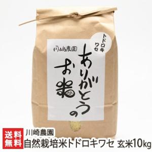 コシヒカリ 無農薬 10kg 令和6年産 玄米 農薬不使用 100％有機肥料