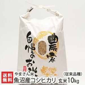 【令和5年度米】無農薬・無化学肥料 魚沼産コシヒカリ 玄米10kg/やまさん米/送料無料｜niigata-shop