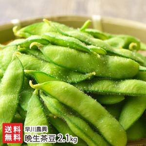 新潟産 晩生茶豆 2.1kg/えだまめ ちゃまめ/早川農興/送料無料 父の日 お中元｜niigata-shop