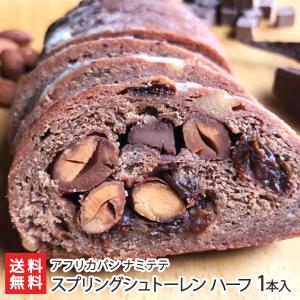スプリングシュトーレン（ショコラ）ハーフ 1本入り/シュトレン/アフリカパン ナミテテ/送料無料