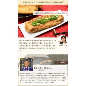 栃尾の油揚げ 10枚入(簡易包装)揚げ正/ギフ...の詳細画像1