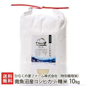 コシヒカリ 【令和7年度米】 新潟産コシヒカリ 精米25kg 久保農園/送料