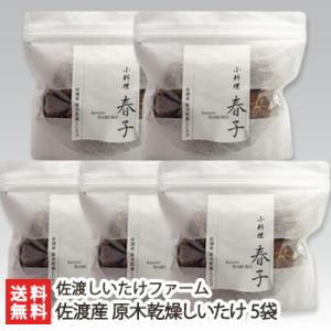 佐渡産 原木乾燥しいたけ 5袋（1袋あたり80g）/椎茸 シイタケ きのこ キノコ 茸/佐渡しいたけファーム/送料無料｜niigata-shop
