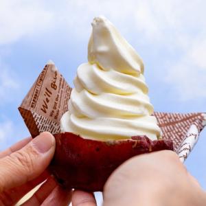 焼き芋ソフトクリーム 4個 冷凍さつまいもスライス 4個 ガンジーソフトクリーム 4個 さつまいも農カフェきらら 送料無料 Growth Academy De Index Php