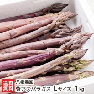 紫アスパラガス Lサイズ 1kg（1本あたり約30〜40g）八幡農園/送料無料 父の日 お中元｜niigata-shop