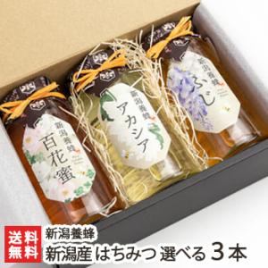 新潟県産はちみつ 5種から選べる200g×3本（ふじ・アカシア・さくらんぼ・百花蜜・厳選アカシア）/...