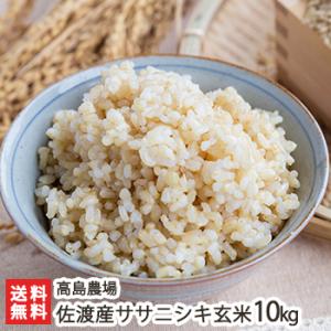 ササニシキ 『無農薬玄米 20kg 』2025年産 真空パック 5kg×4 長期保存