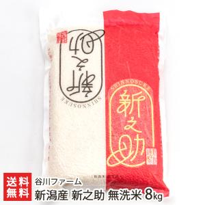 【令和7年度米】新潟産 新之助 無洗米8kg(2...の商品画像