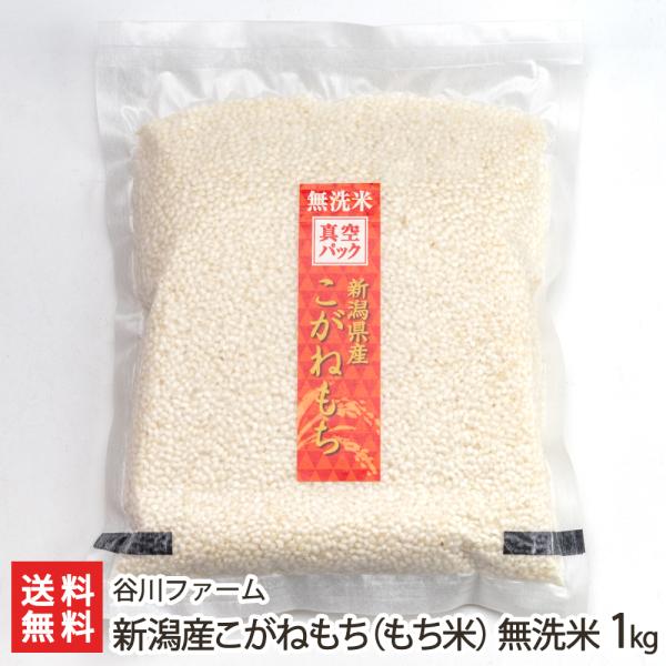 【令和5年度米】新潟産こがねもち（もち米）無洗米1kg/谷川ファーム/送料無料