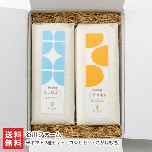 【令和7年度米】谷川ファームの米ギフト 2種セッ...の商品画像