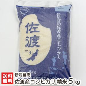 令和8年度新米】新潟県産コシヒカリ 精米5kg（5kg×1袋）/JATs食彩館