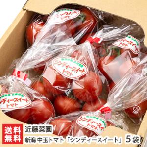 新潟産中玉トマト「シンディースイート」5袋入（1袋約230g）近藤菜園/送料無料｜niigata-shop