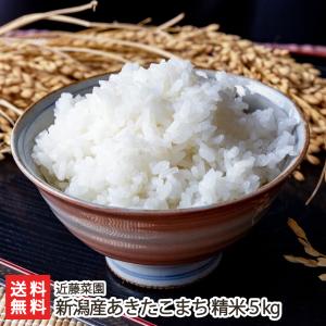 新潟産あきたこまち 精米5kg/近藤菜園/のし無料/送料無料 父の日 お中元｜niigata-shop