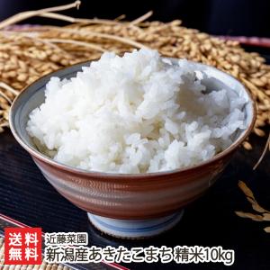 新潟産あきたこまち 精米10kg/近藤菜園/のし無料/送料無料 父の日 お中元｜niigata-shop