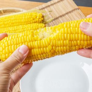 津南産 鬼もろこし 5kg/株式会社鬼や福ふく...の詳細画像5