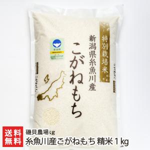 令和3年度米 特別栽培米 糸魚川産こがねもち 精米1kg 磯貝農場/料無料｜niigata-shop