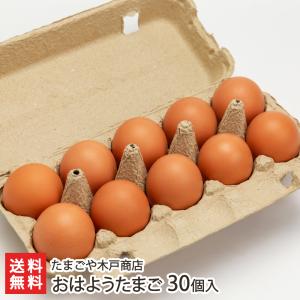 おはようたまご 30個入り/たまごや木戸商店/送料無料 父の日 お中元｜niigata-shop