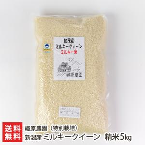 ミルキークイーン 【令和7年度米】特別栽培米（減農薬・減化学肥料