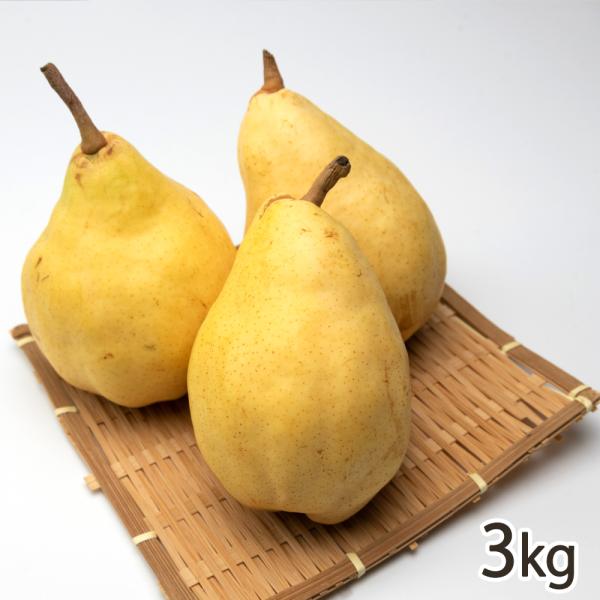 【家庭用】ル・レクチェ 3kg（7〜11玉）/高清農園/送料無料