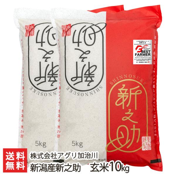 【令和5年度米】新潟産 新之助 玄米10kg/株式会社アグリ加治川/送料無料 父の日 お中元