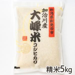コシヒカリ 【令和7年度米】 岩船産コシヒカリ 精米10kg（5kg×2袋