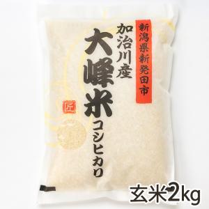 ヒノヒカリ 令和7年産 ひのひかり 竹田米 10kg(5kg×2) 送料無料 お米