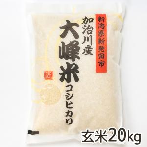令和7年(新米)新潟県産の【新之助】玄米20Kg 令和7年度米】特別栽培米（減農薬・減化学肥料）新潟産 新之助 玄米